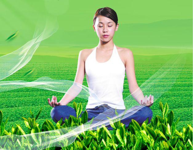 怎么买假的雷克维护理学院文凭毕业证